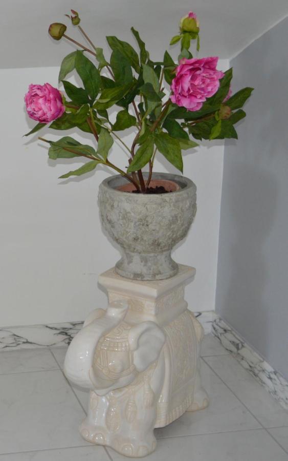 נוצ'י Bed & Breakfast Villa Lavanda מראה חיצוני תמונה