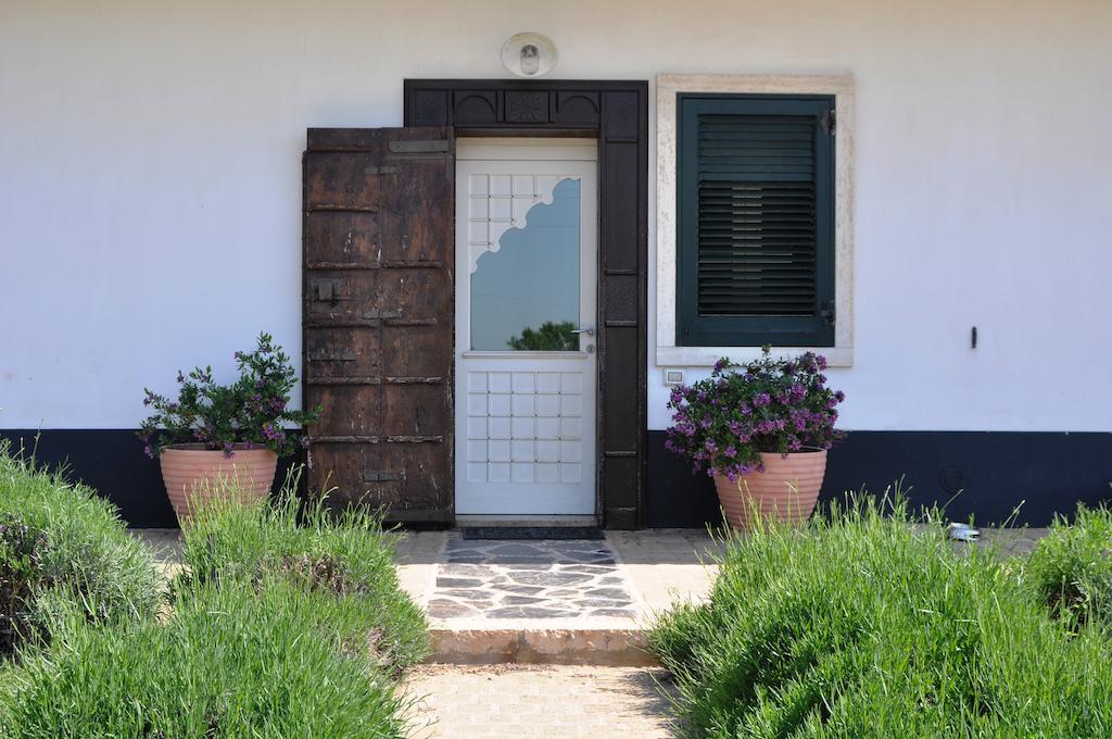 נוצ'י Bed & Breakfast Villa Lavanda מראה חיצוני תמונה