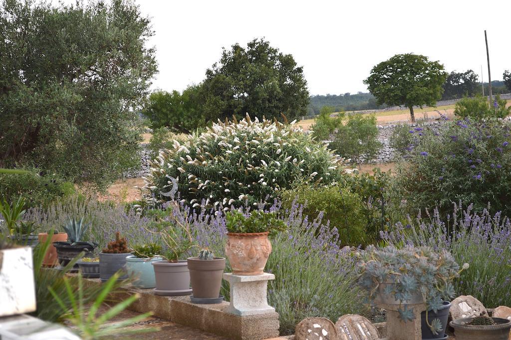 נוצ'י Bed & Breakfast Villa Lavanda מראה חיצוני תמונה