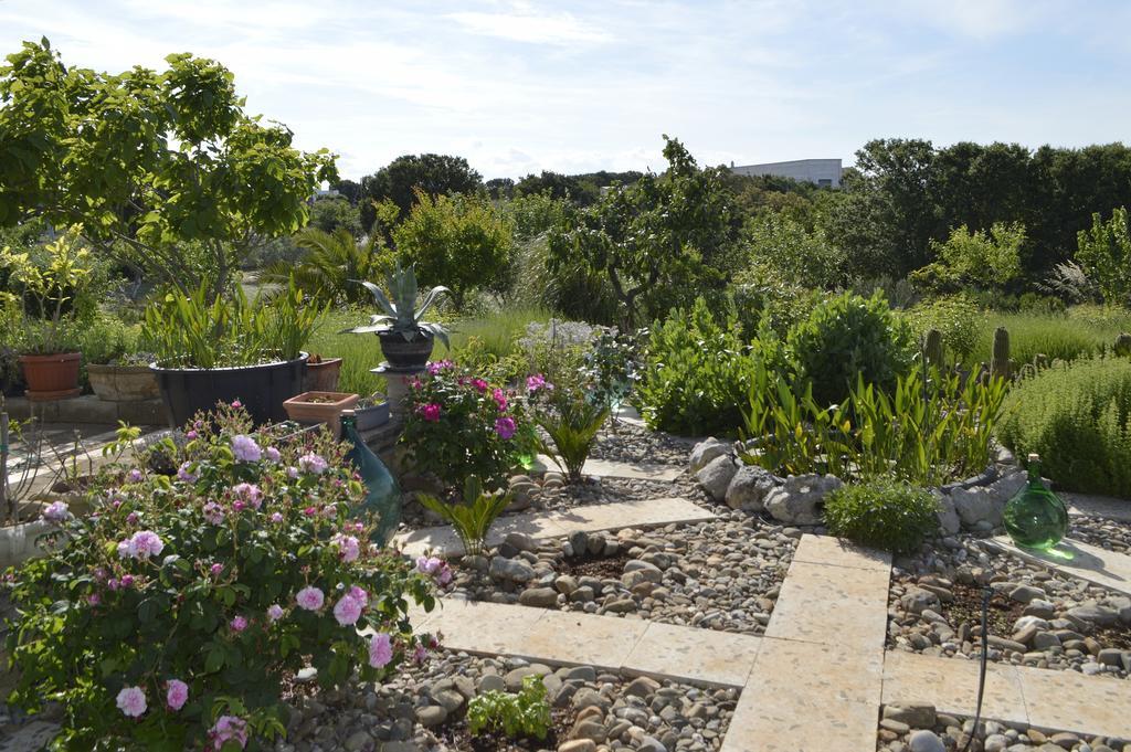 נוצ'י Bed & Breakfast Villa Lavanda מראה חיצוני תמונה