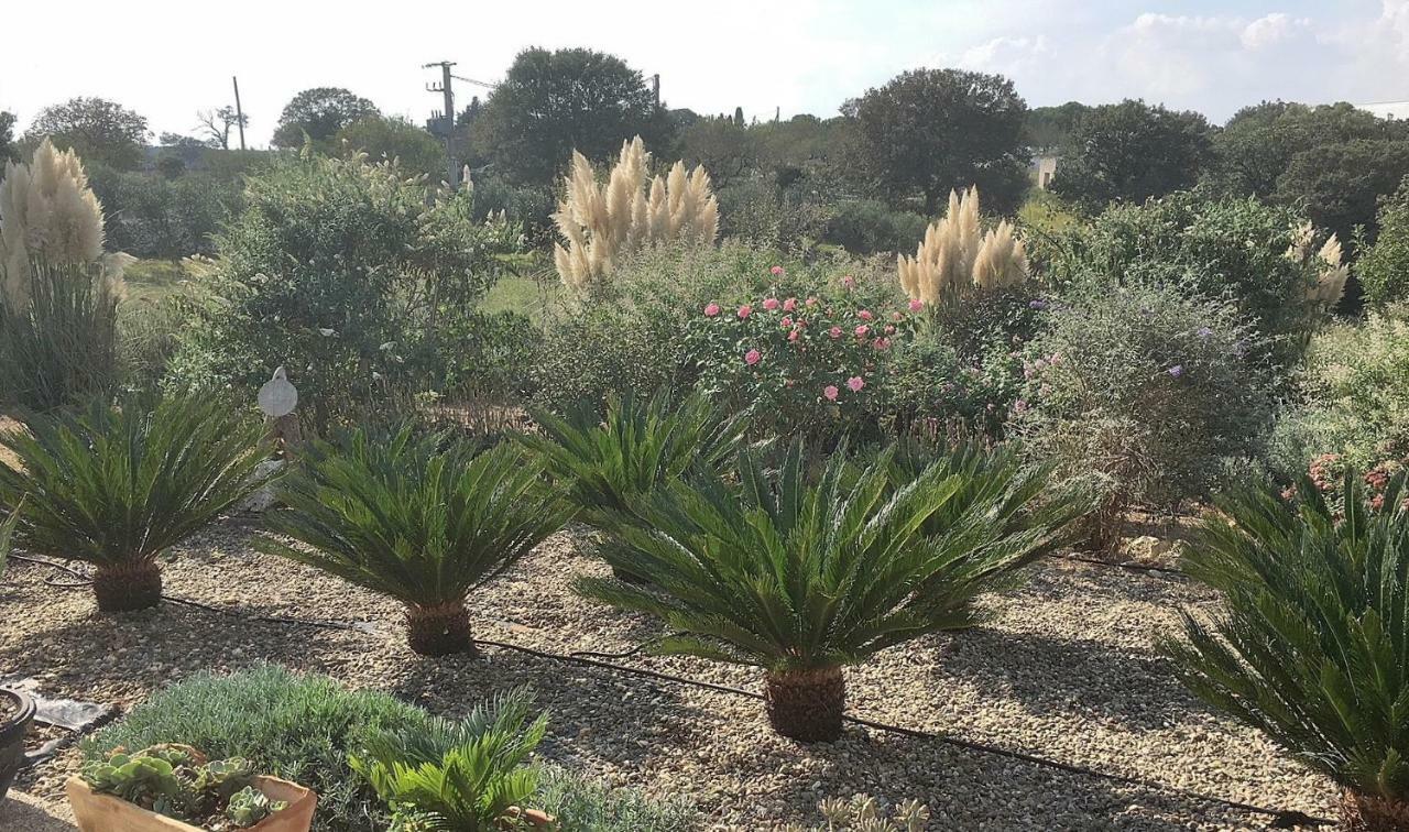 נוצ'י Bed & Breakfast Villa Lavanda מראה חיצוני תמונה
